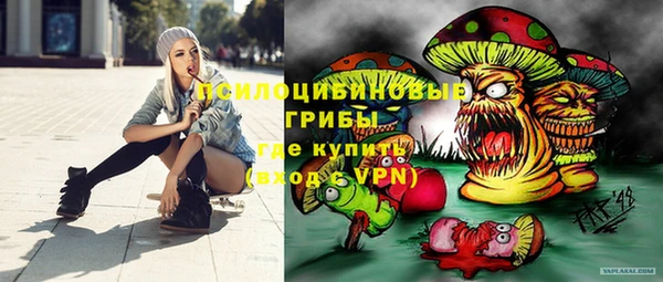 ПСИЛОЦИБИНОВЫЕ ГРИБЫ Нязепетровск