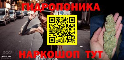прущие крисы Апшеронск