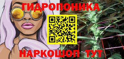 прущие крисы Апшеронск