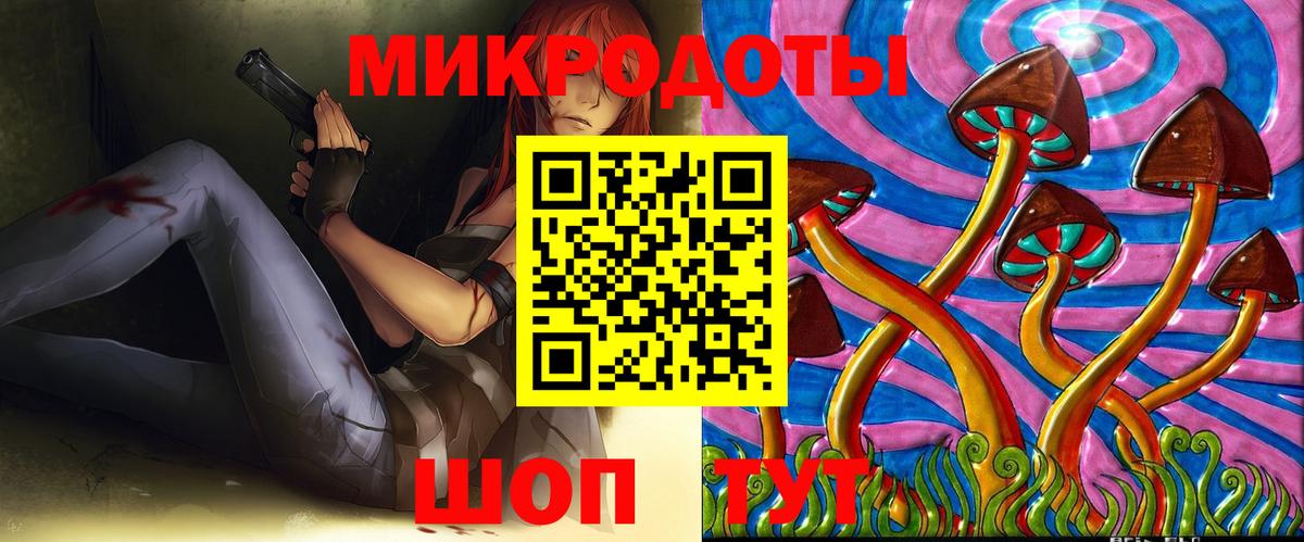 Псилоцибиновые грибы мицелий Богородицк