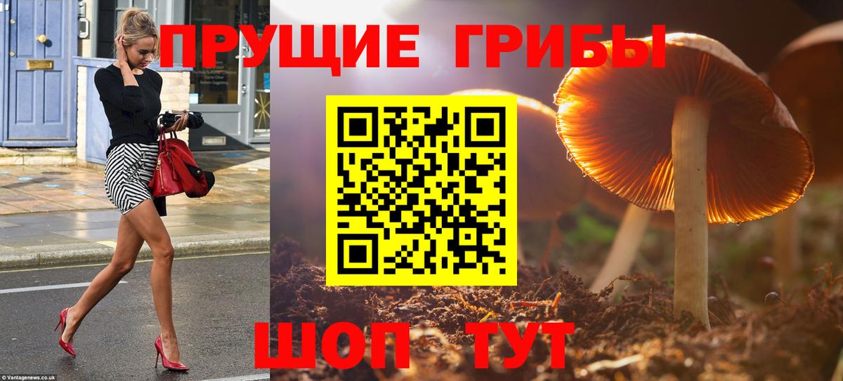 Псилоцибиновые грибы мицелий  Вход с VPN  Богородицк 