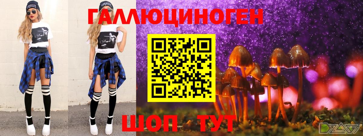 Галлюциногенные грибы GOLDEN TEACHER  Богородицк  Галлюциногенные грибы Cubensis 